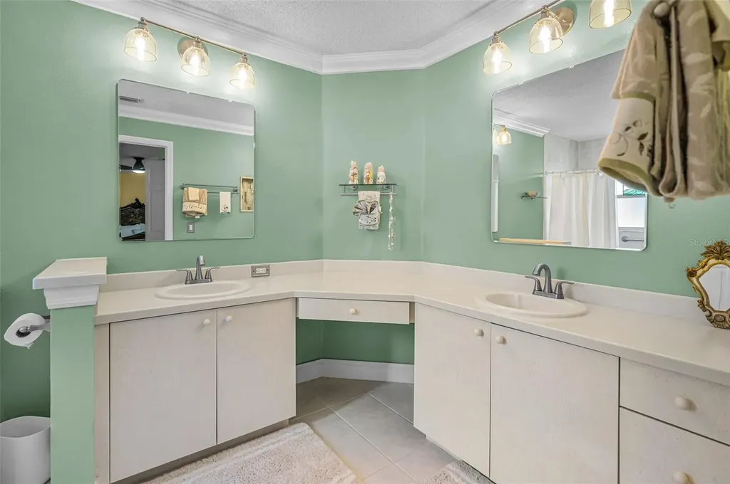 1323 Winding Willow Drive Trinity FL 34655
