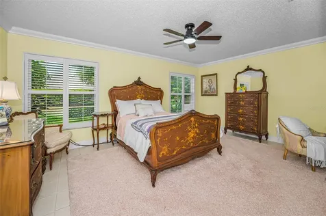 1323 Winding Willow Drive Trinity FL 34655