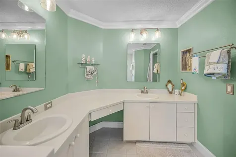 1323 Winding Willow Drive Trinity FL 34655