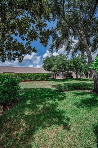 1323 Winding Willow Drive Trinity FL 34655
