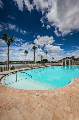 1323 Winding Willow Drive Trinity FL 34655