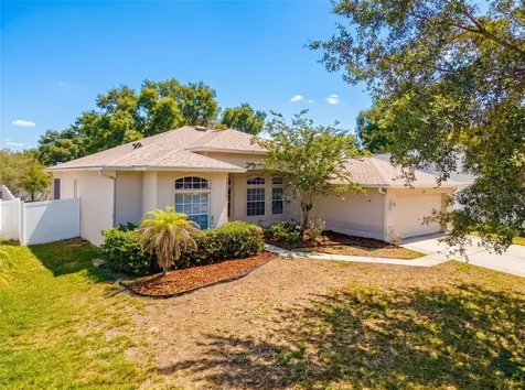 2021 Rutherford Drive Dover FL 33527