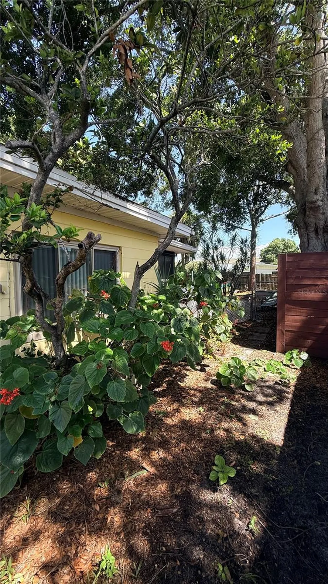 4415 W Paul Avenue Tampa FL 33611