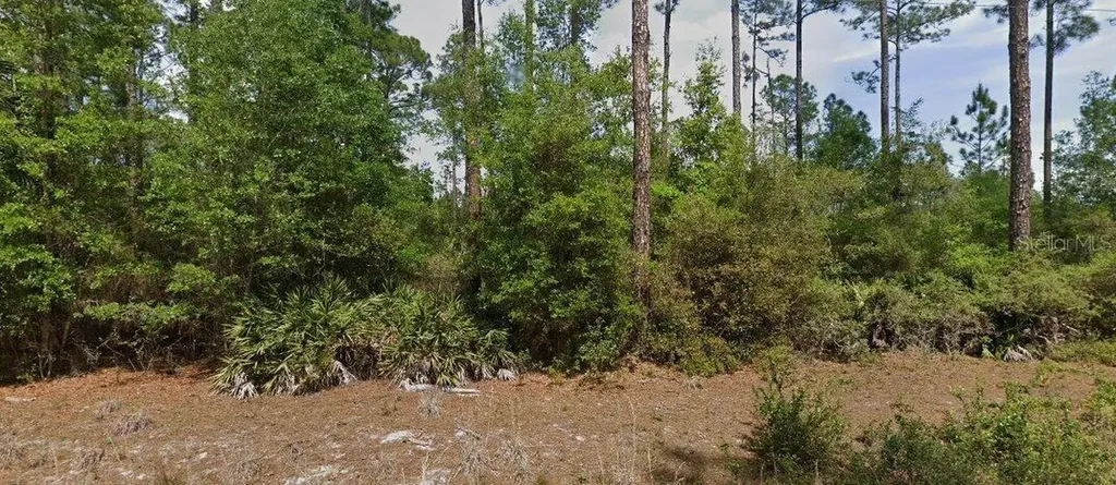 148 Arden Street Georgetown FL 32139