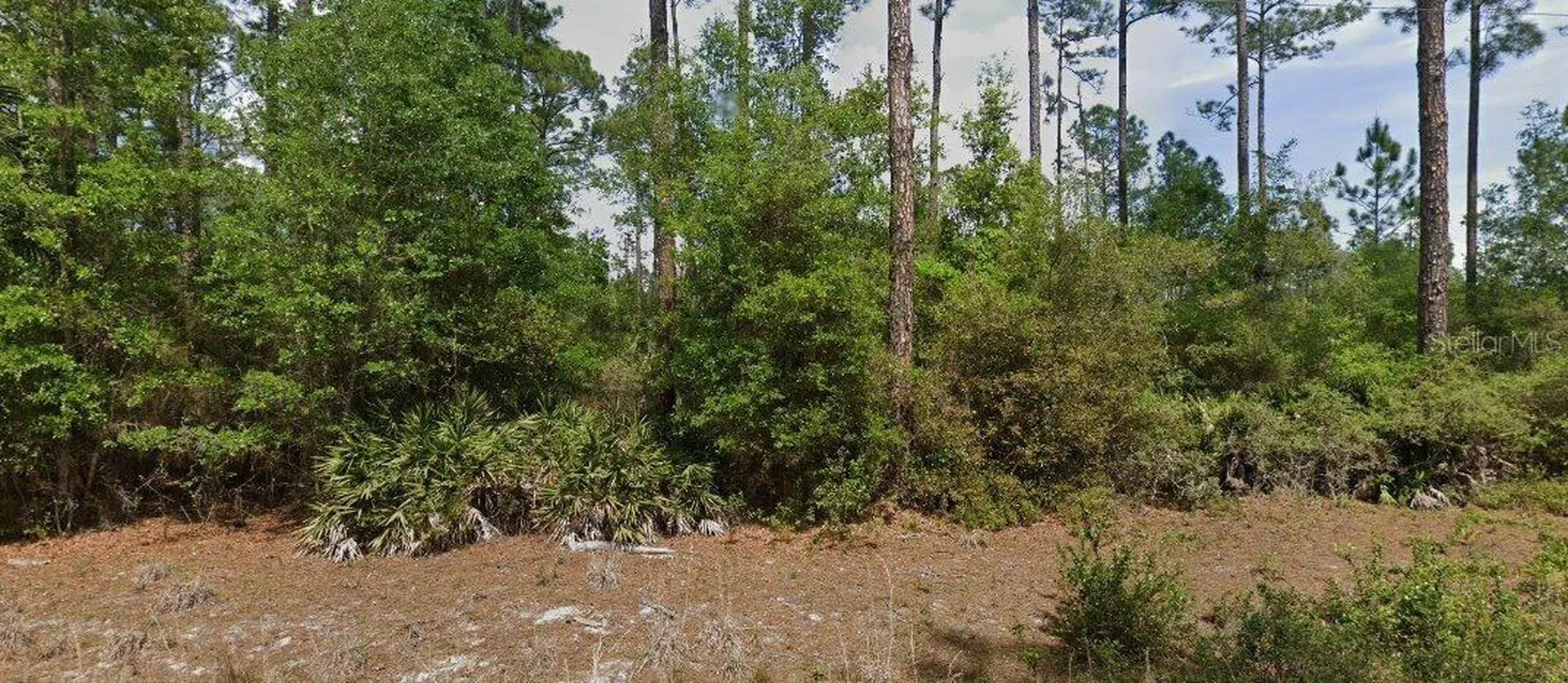 148 Arden Street Georgetown FL 32139