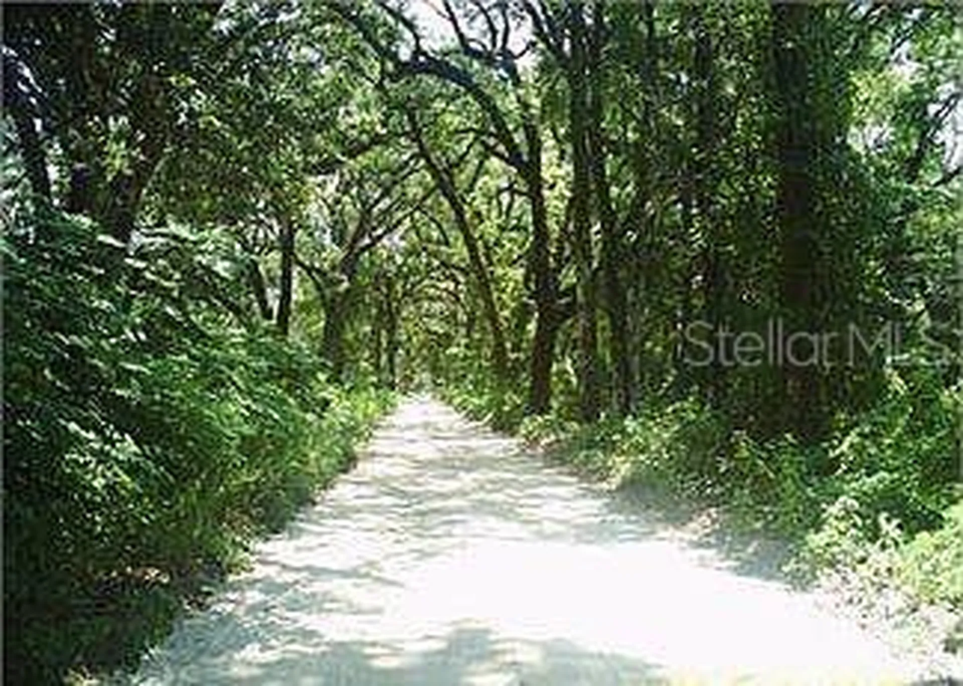148 Arden Street Georgetown FL 32139