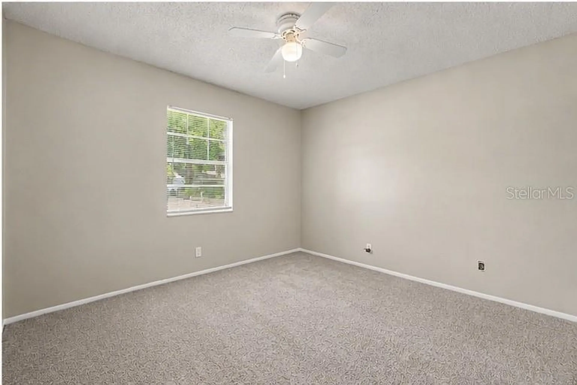 4419 Dolphin Drive Tampa FL 33617
