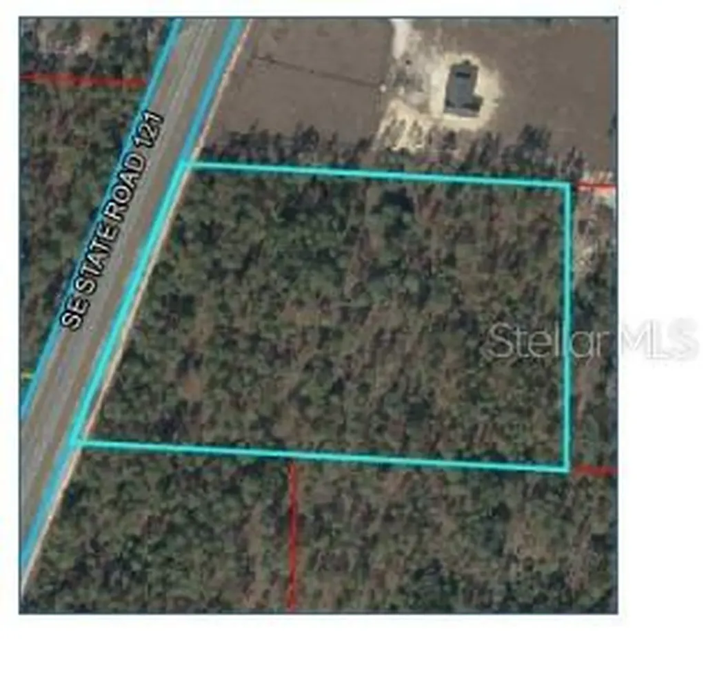 SE State Road 121 Morriston FL 32668