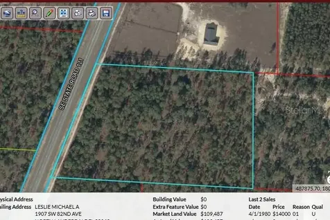 SE State Road 121 Morriston FL 32668
