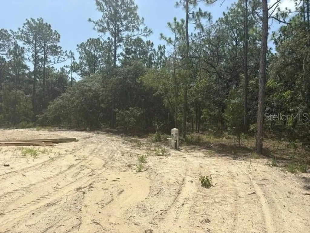 12188 SW 81st Street Dunnellon FL 34432