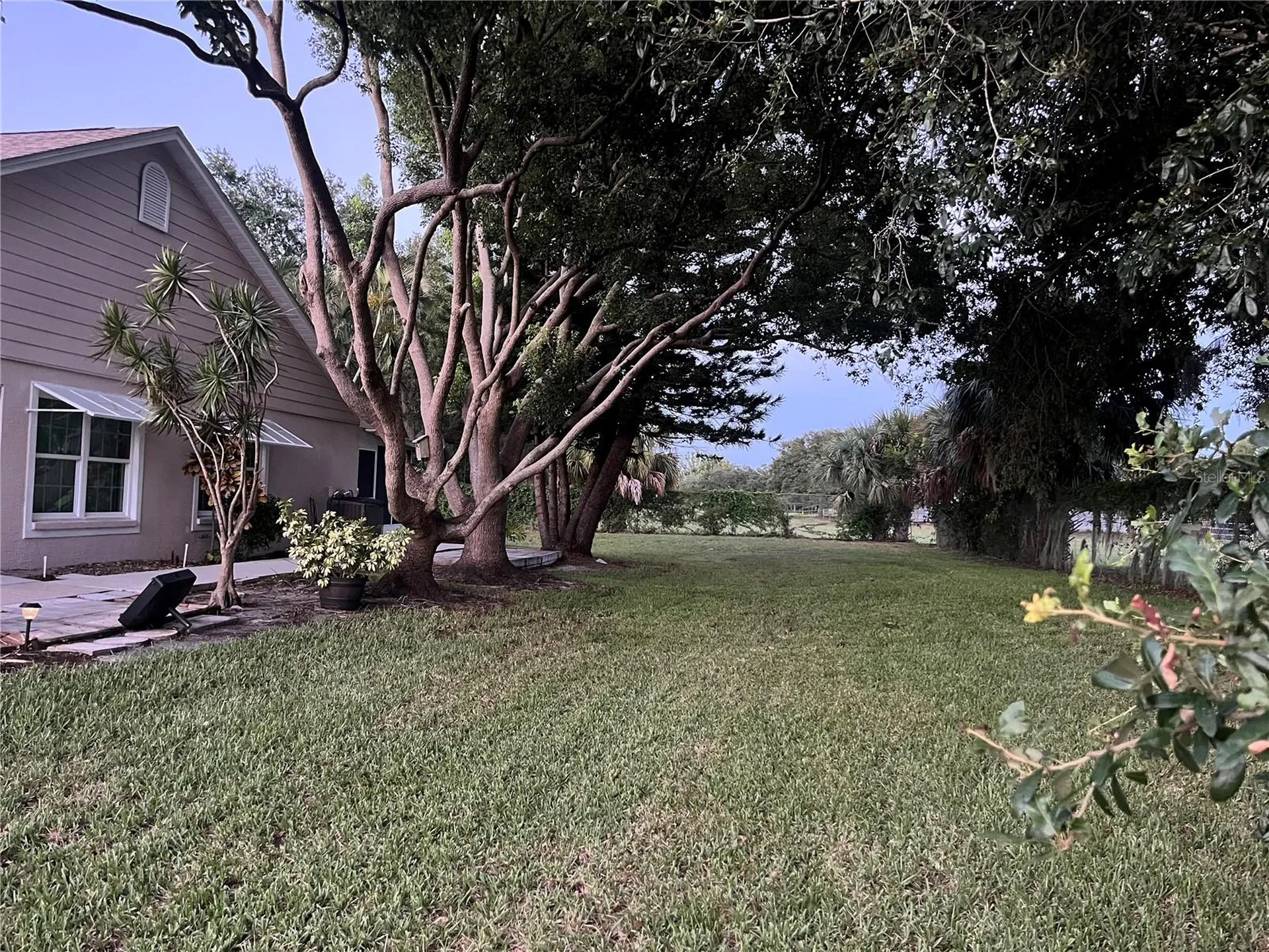 2387 Bentley Drive Palm Harbor FL 34684