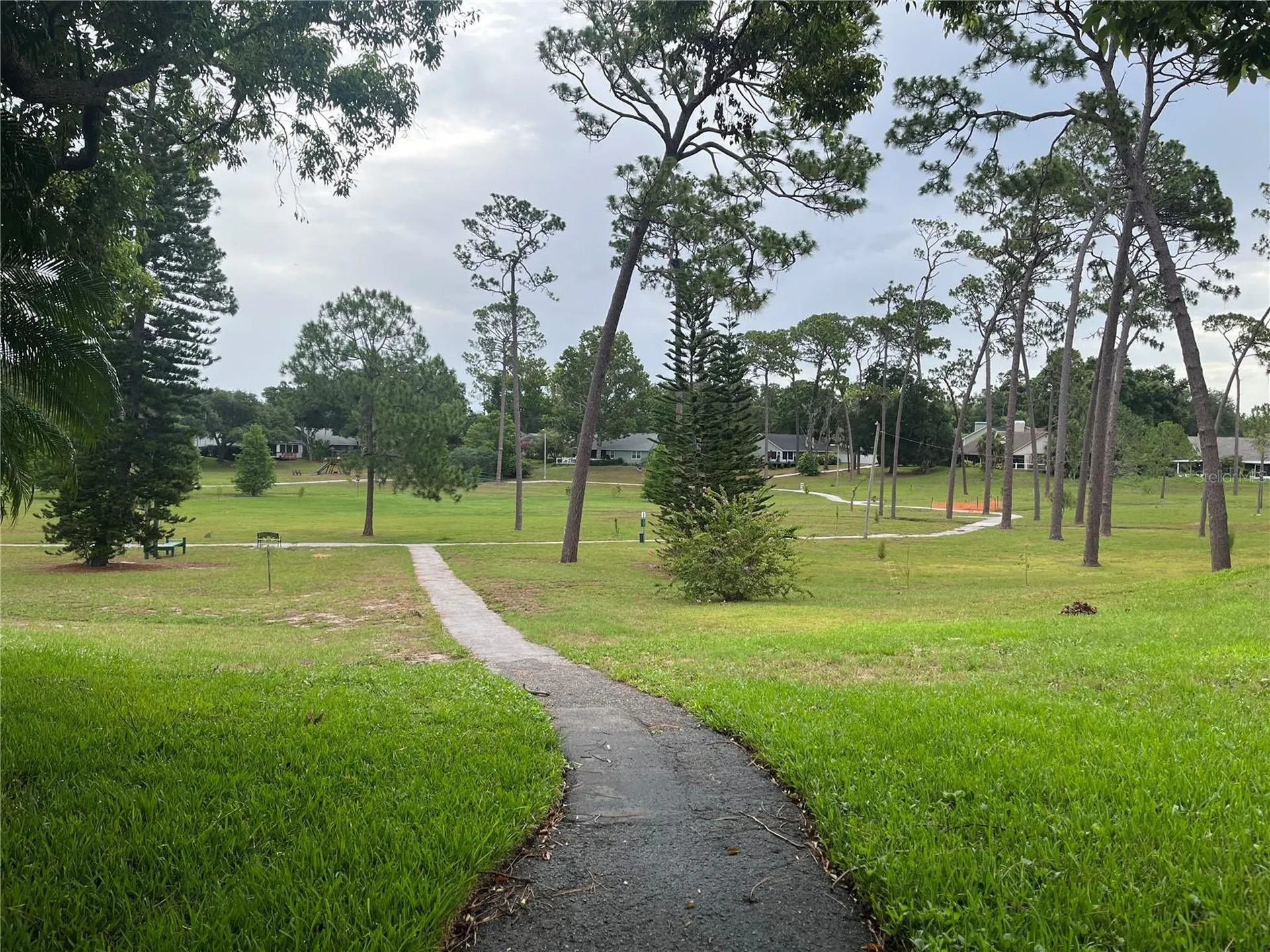 2387 Bentley Drive Palm Harbor FL 34684