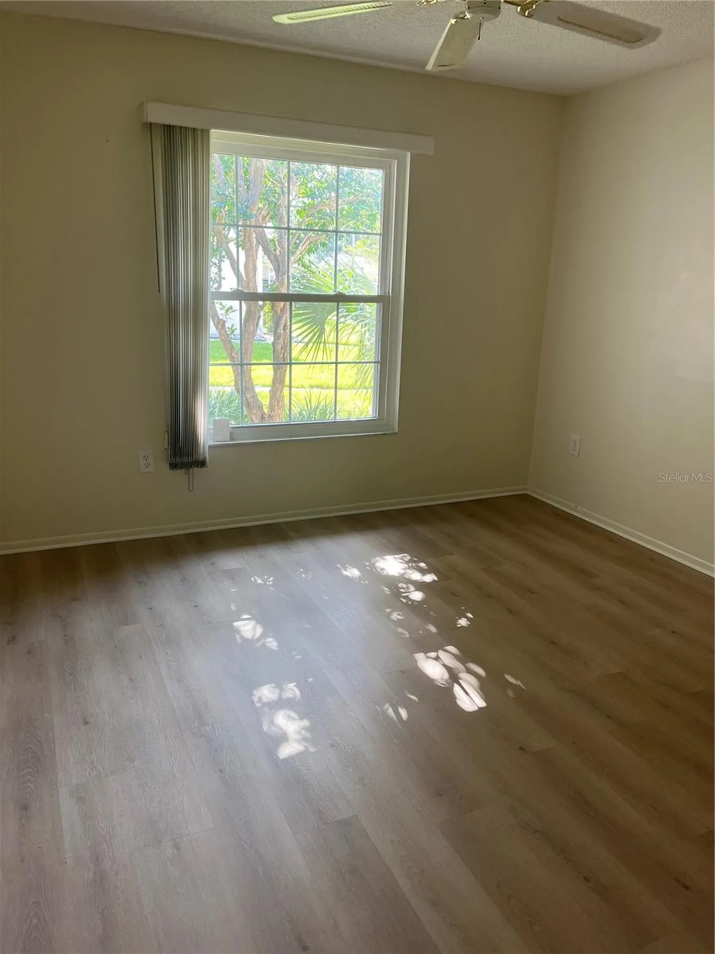 2387 Bentley Drive Palm Harbor FL 34684