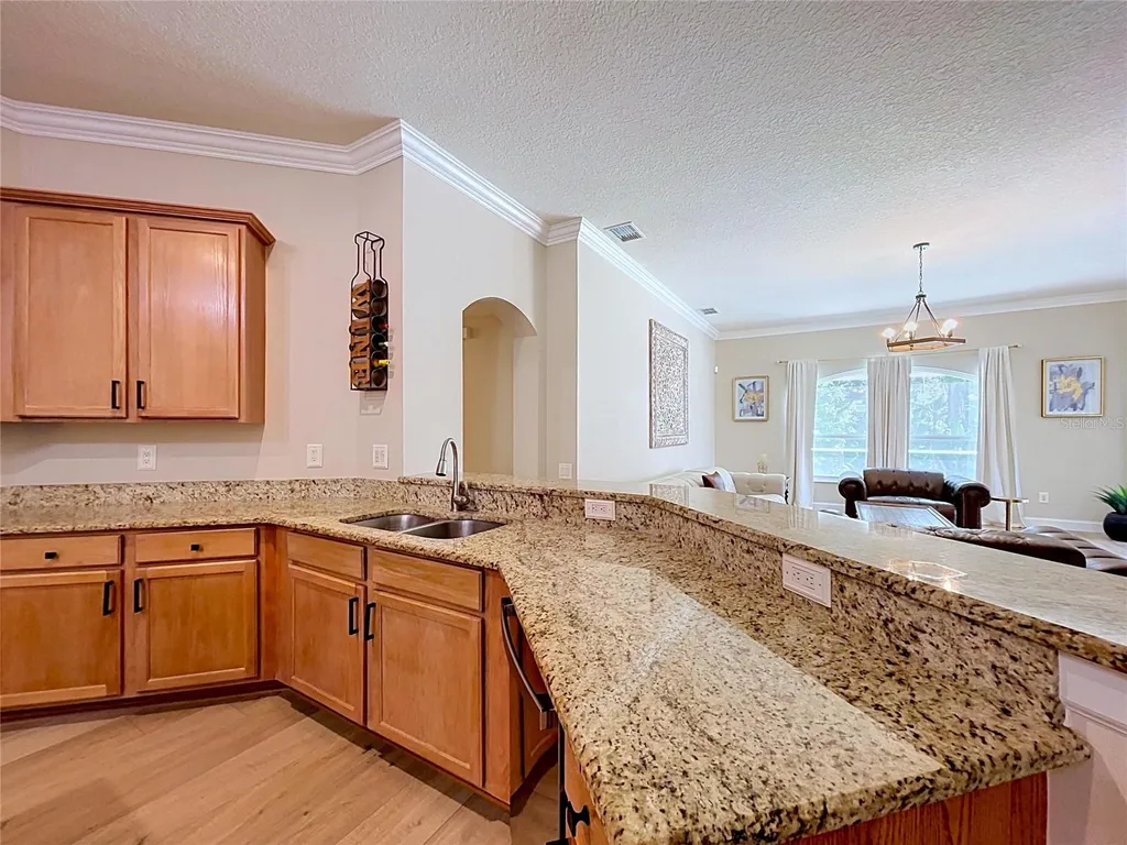 5049 Decidely Court Wesley Chapel FL 33544
