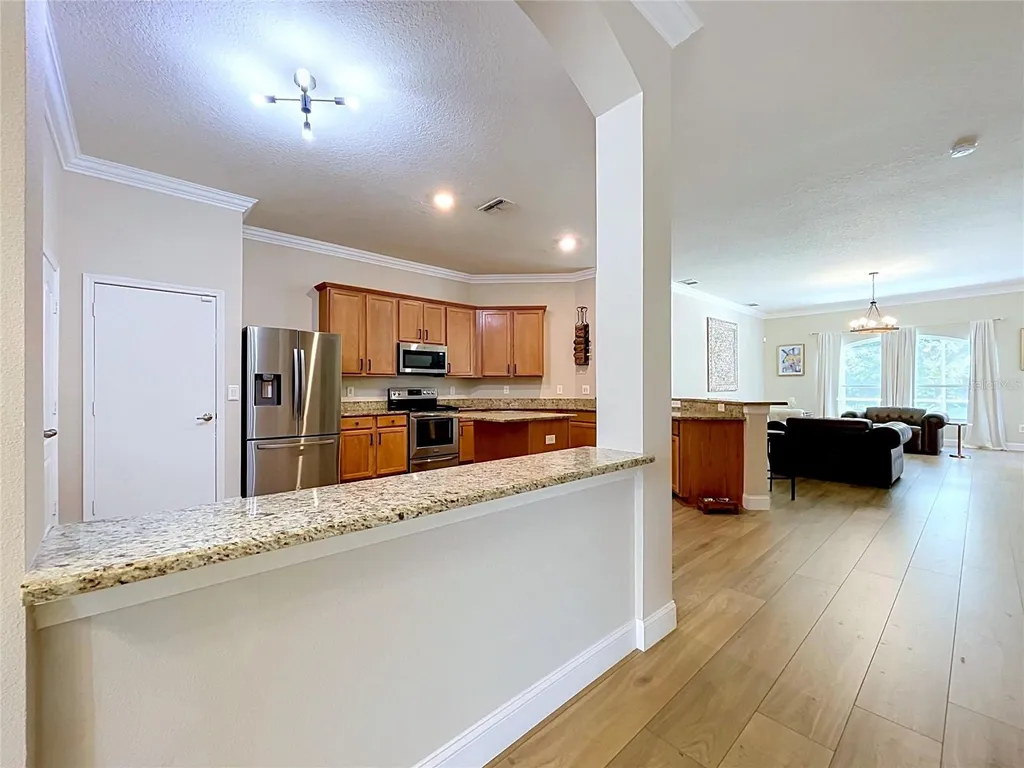 5049 Decidely Court Wesley Chapel FL 33544
