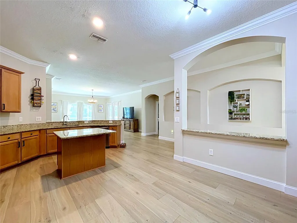 5049 Decidely Court Wesley Chapel FL 33544