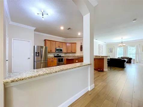 5049 Decidely Court Wesley Chapel FL 33544