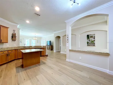 5049 Decidely Court Wesley Chapel FL 33544