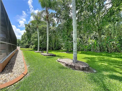 5049 Decidely Court Wesley Chapel FL 33544