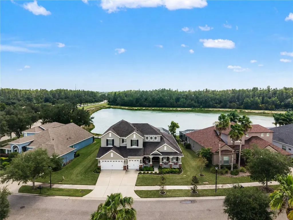 19304 Yellow Clover Drive Tampa FL 33647