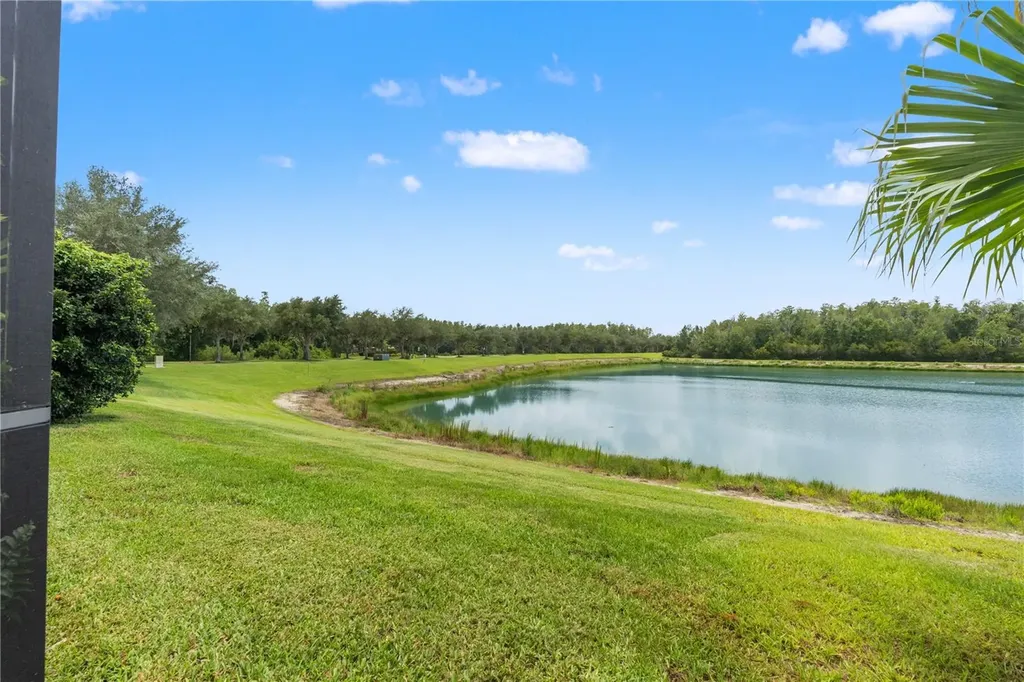 19304 Yellow Clover Drive Tampa FL 33647