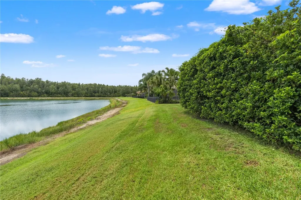 19304 Yellow Clover Drive Tampa FL 33647