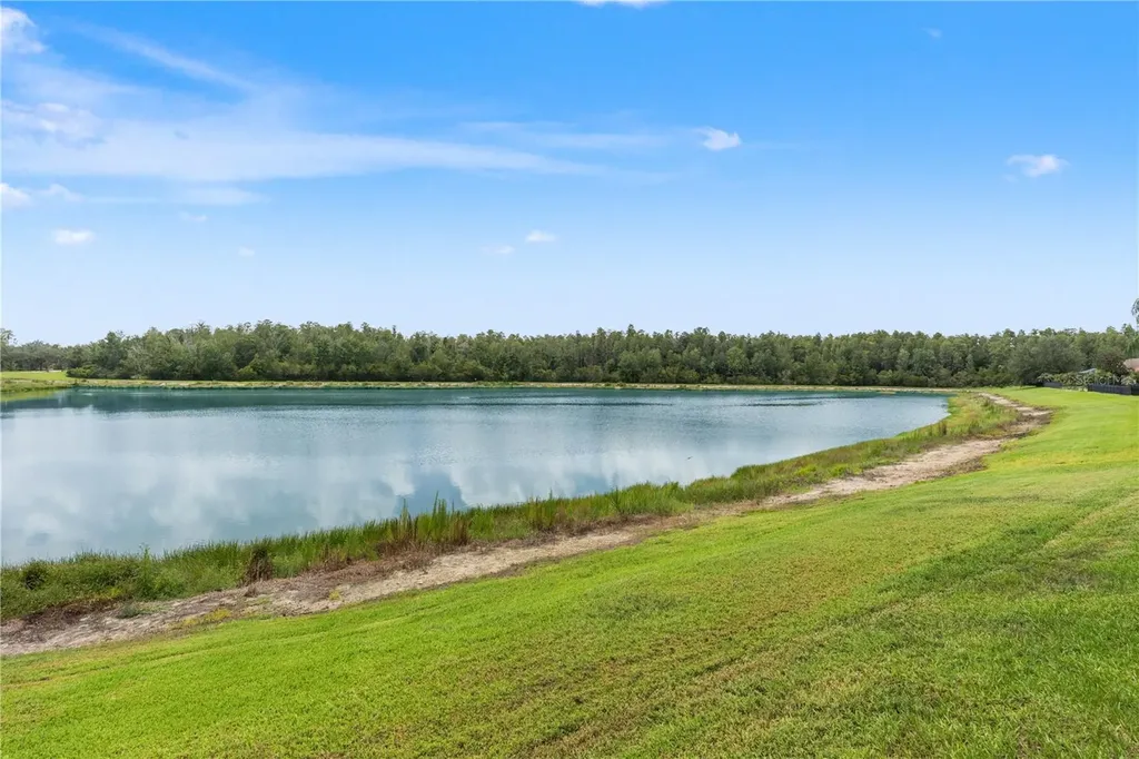 19304 Yellow Clover Drive Tampa FL 33647