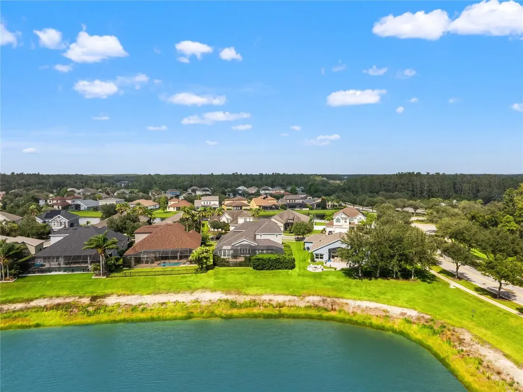19304 Yellow Clover Drive Tampa FL 33647