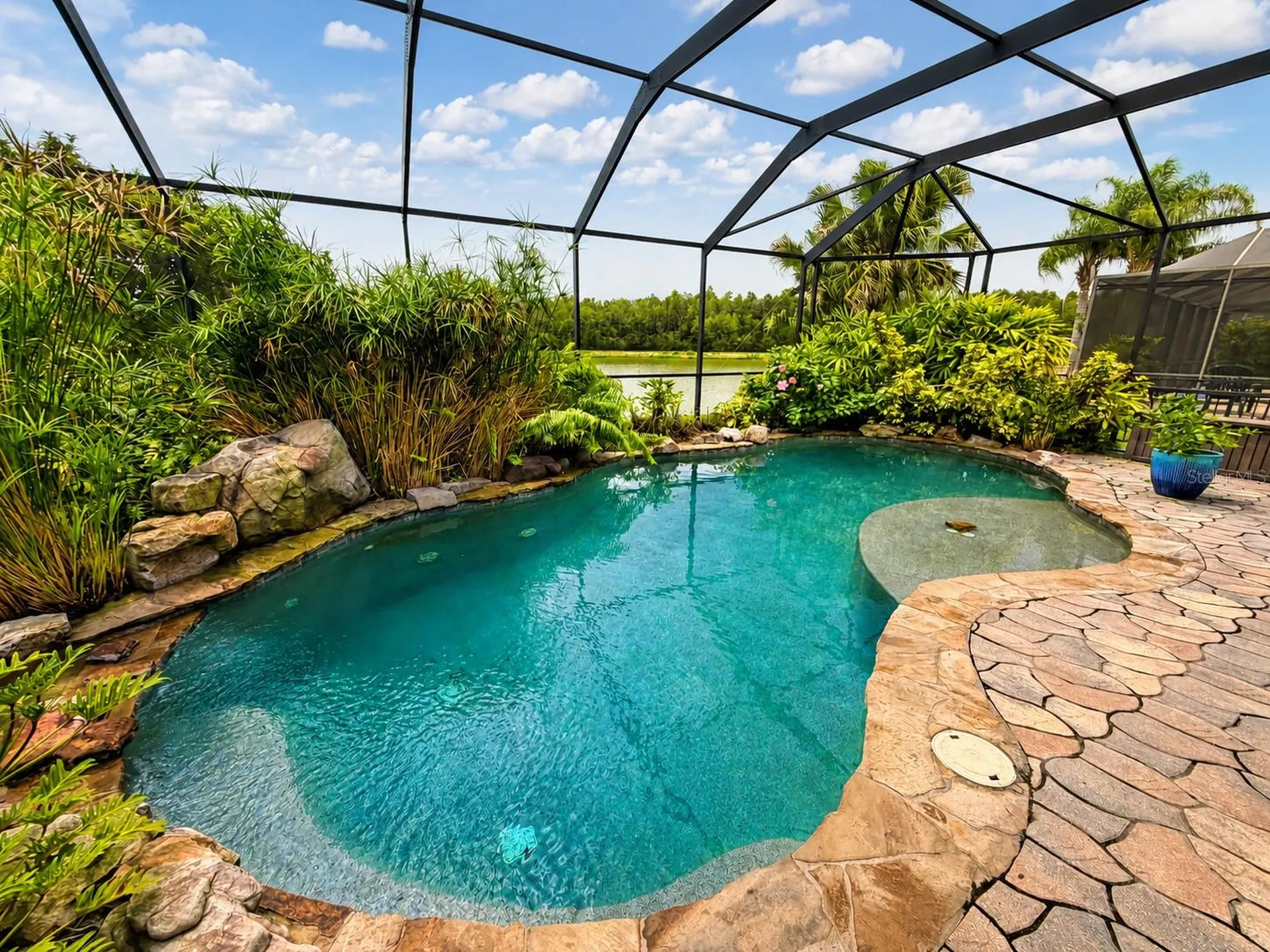 19304 Yellow Clover Drive Tampa FL 33647