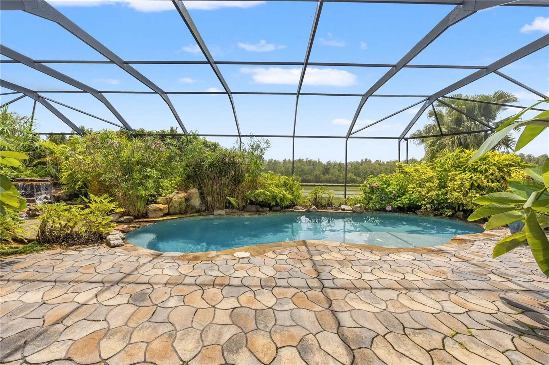 19304 Yellow Clover Drive Tampa FL 33647