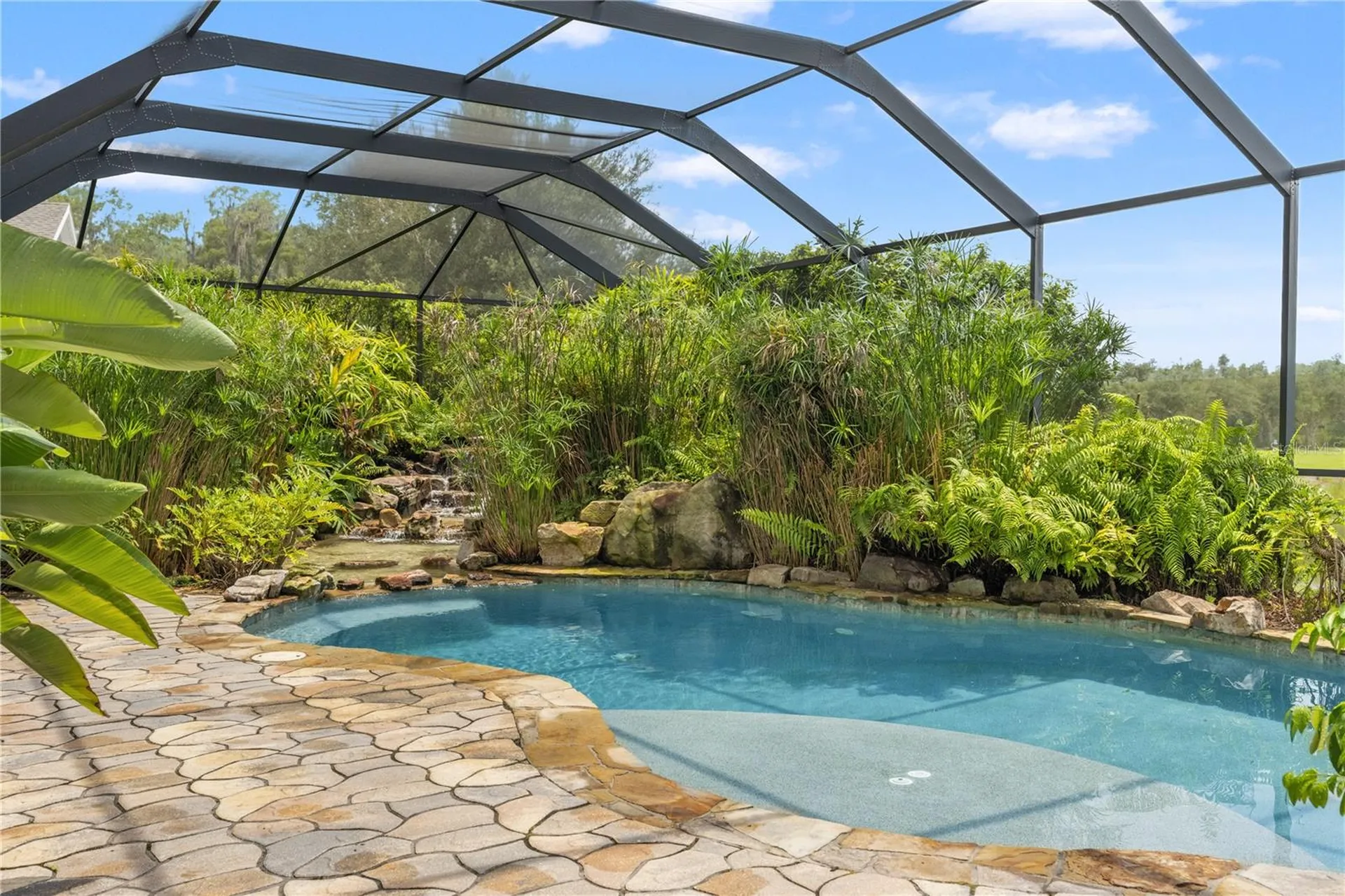 19304 Yellow Clover Drive Tampa FL 33647