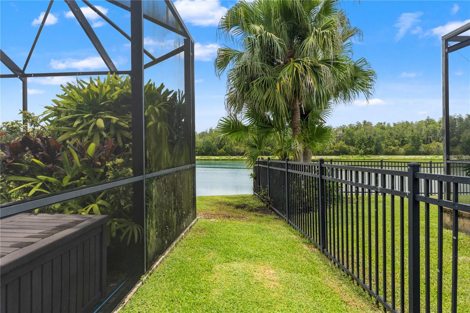 19304 Yellow Clover Drive Tampa FL 33647
