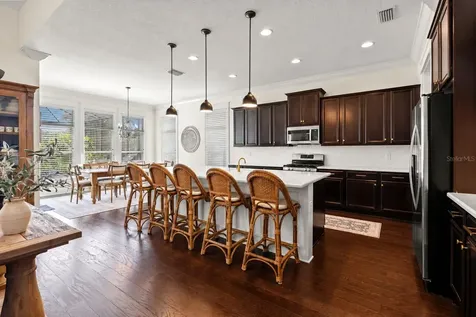 19304 Yellow Clover Drive Tampa FL 33647
