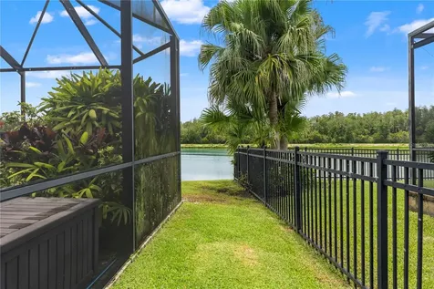 19304 Yellow Clover Drive Tampa FL 33647
