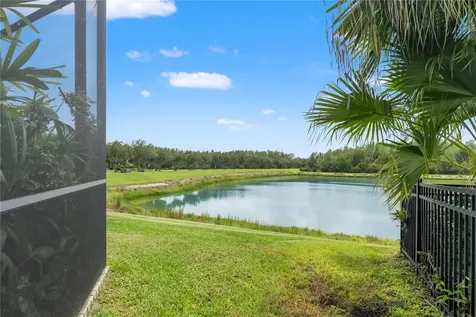 19304 Yellow Clover Drive Tampa FL 33647