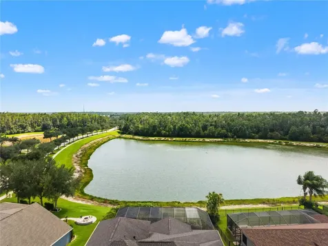 19304 Yellow Clover Drive Tampa FL 33647