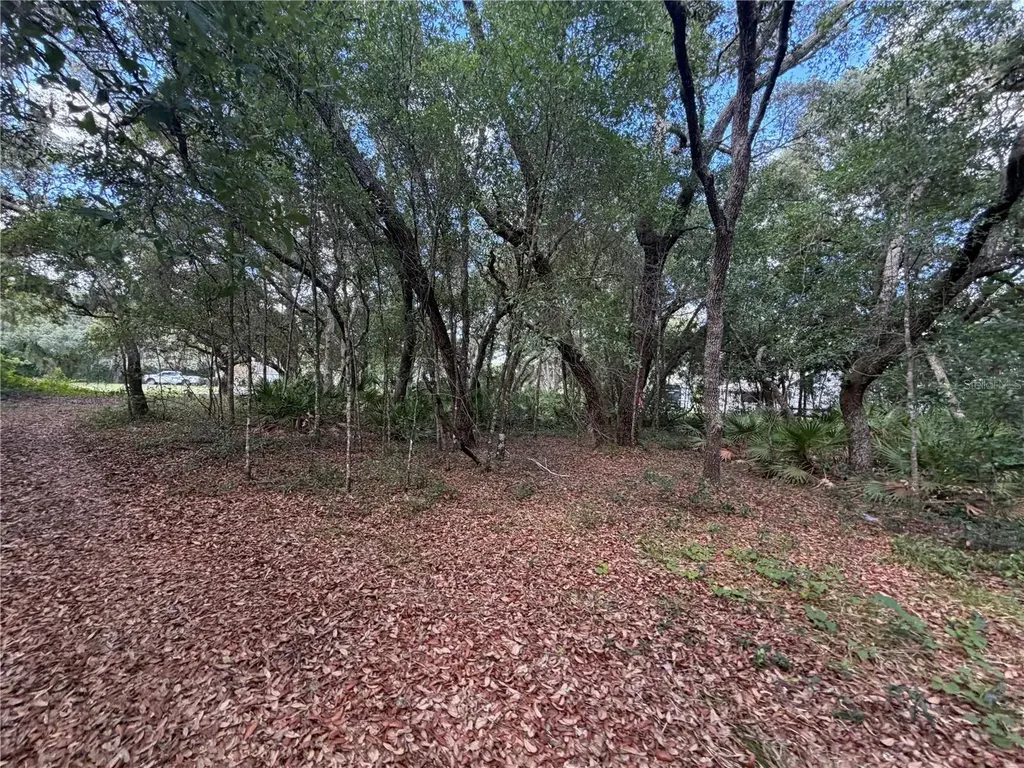5967 NE 63rd Street Silver Springs FL 34488
