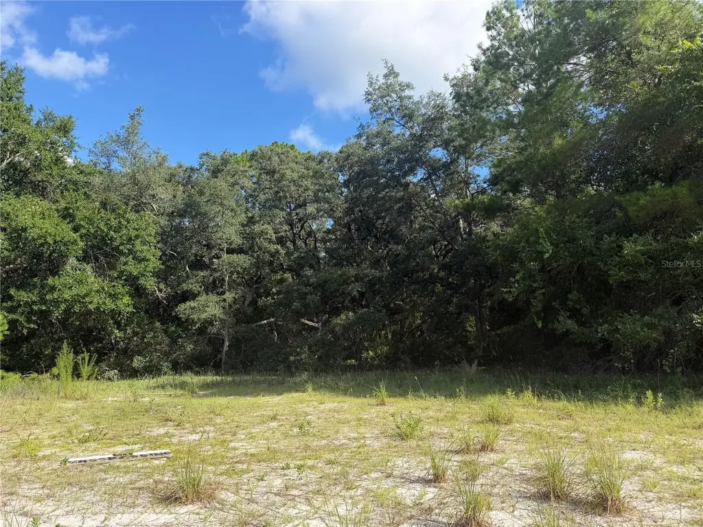 5967 NE 63rd Street Silver Springs FL 34488