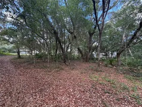 5967 NE 63rd Street Silver Springs FL 34488