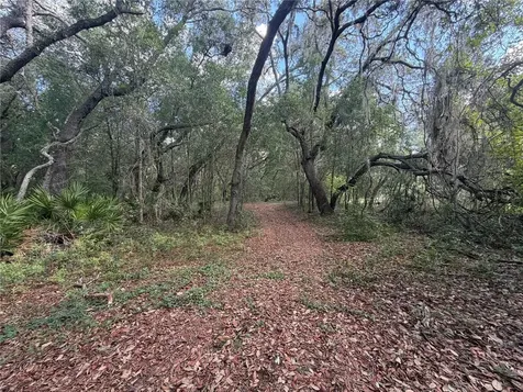 5967 NE 63rd Street Silver Springs FL 34488