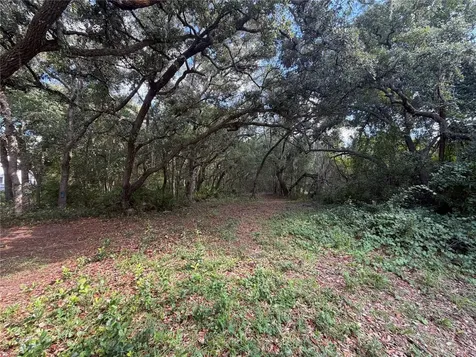 5967 NE 63rd Street Silver Springs FL 34488