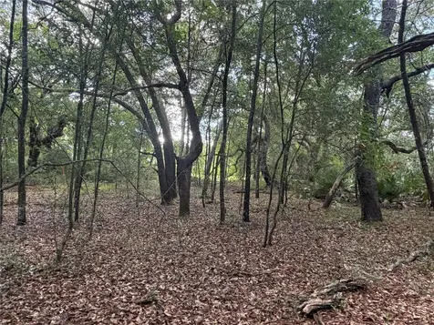5967 NE 63rd Street Silver Springs FL 34488