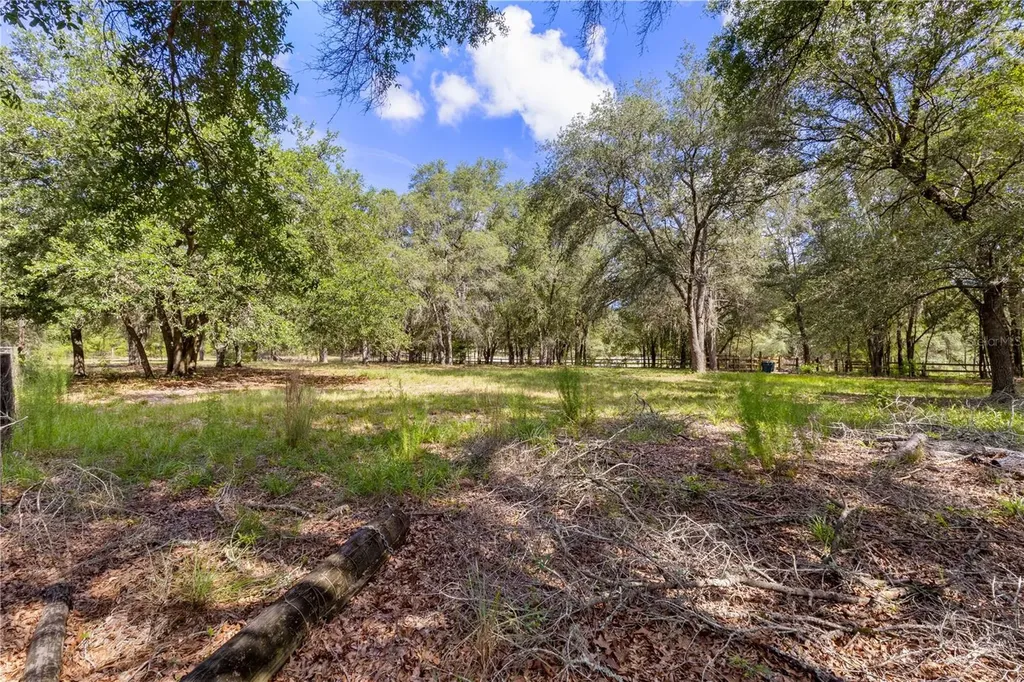 119 NE 98th Lane Branford FL 32008