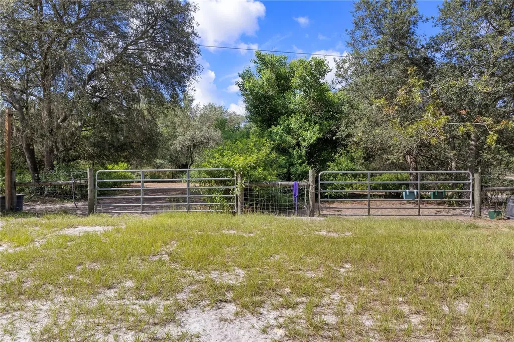 119 NE 98th Lane Branford FL 32008