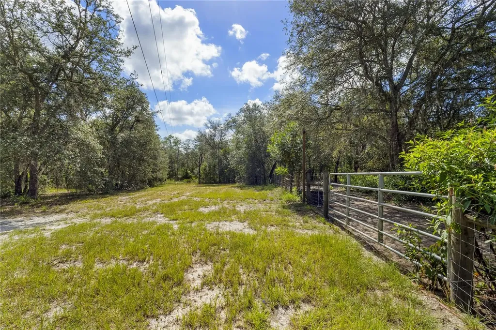 119 NE 98th Lane Branford FL 32008
