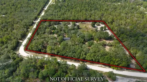 119 NE 98th Lane Branford FL 32008