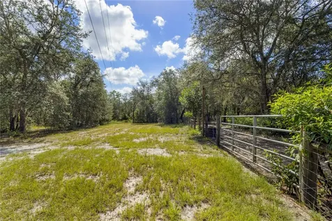 119 NE 98th Lane Branford FL 32008
