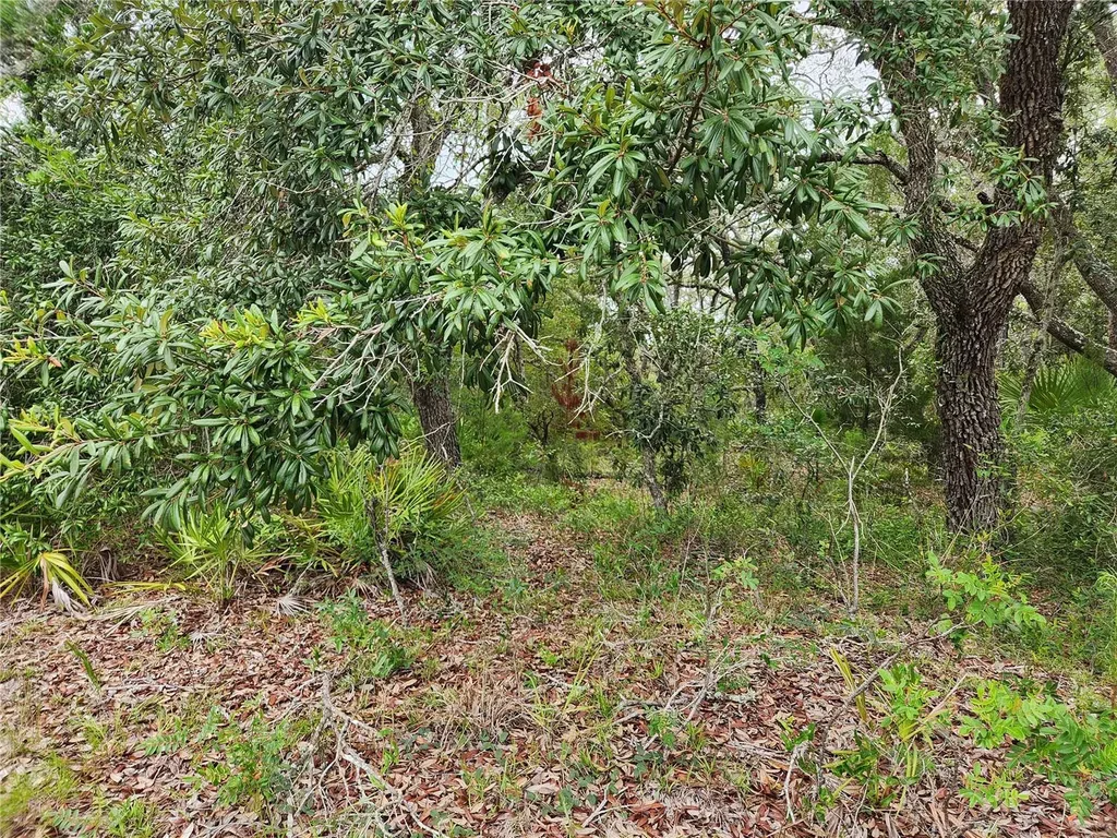 18364 Parakeet Road Brooksville FL 34614