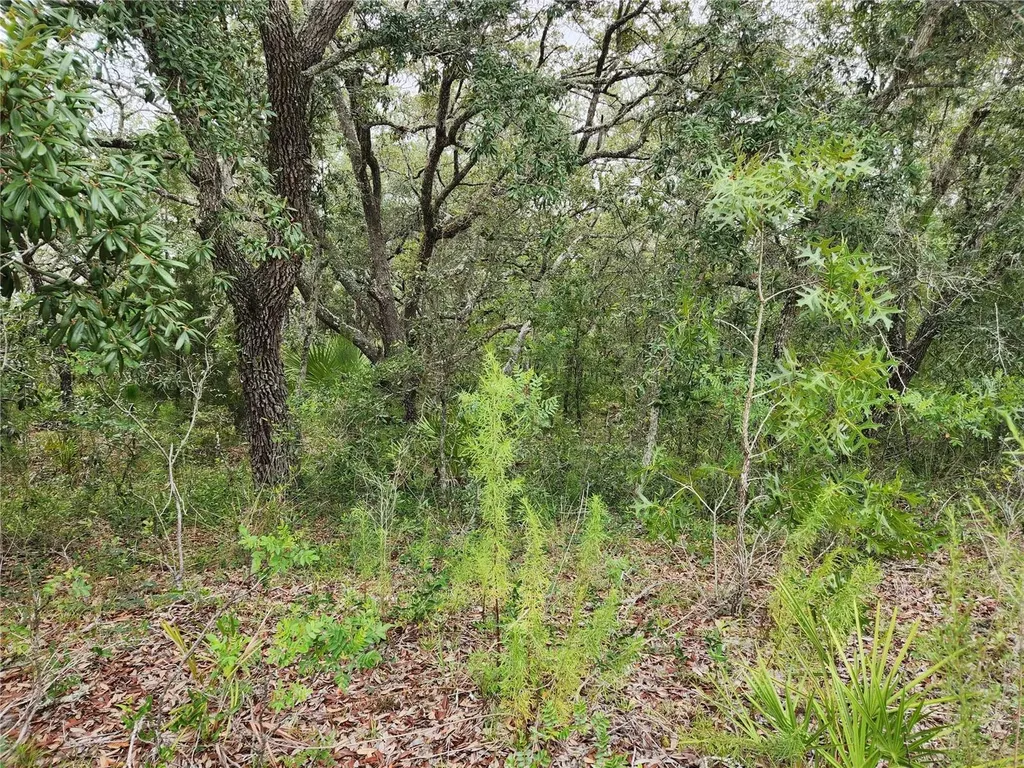 18364 Parakeet Road Brooksville FL 34614