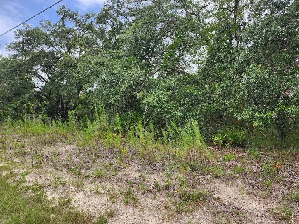 18364 Parakeet Road Brooksville FL 34614